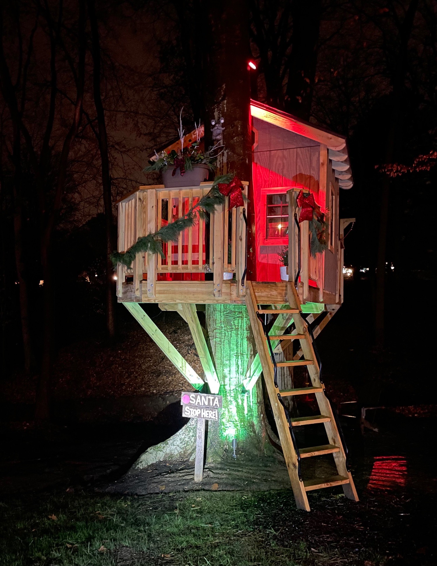 Westtown Winter Wonderland, Christmas lights in West Chester, PA (photo 3)