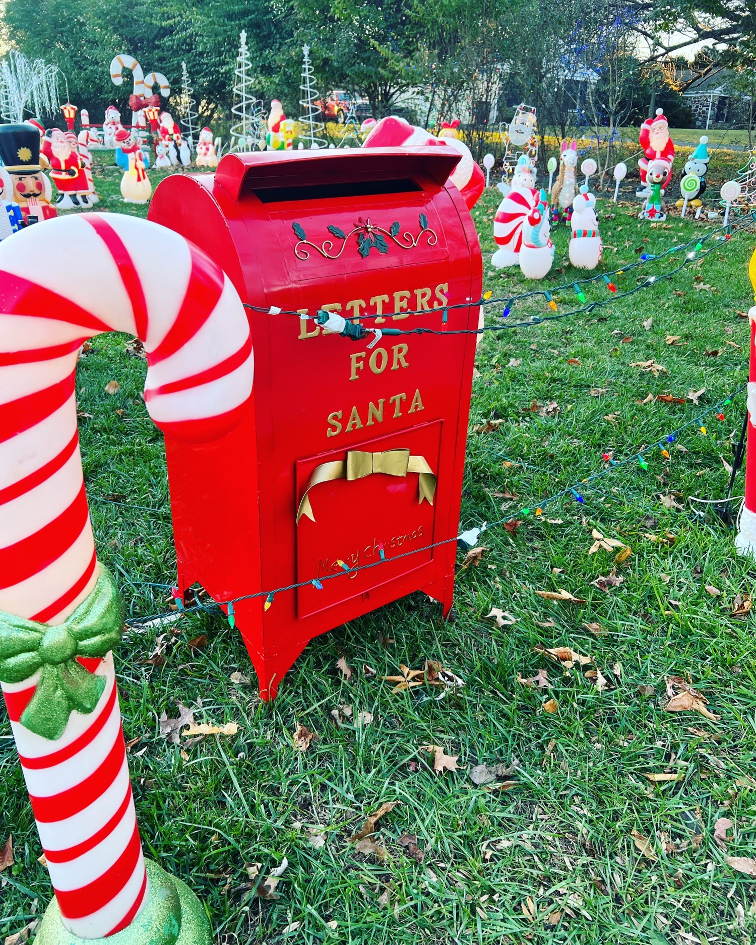 Lelii Holiday Lights, Christmas lights in West Chester, PA (photo 2)