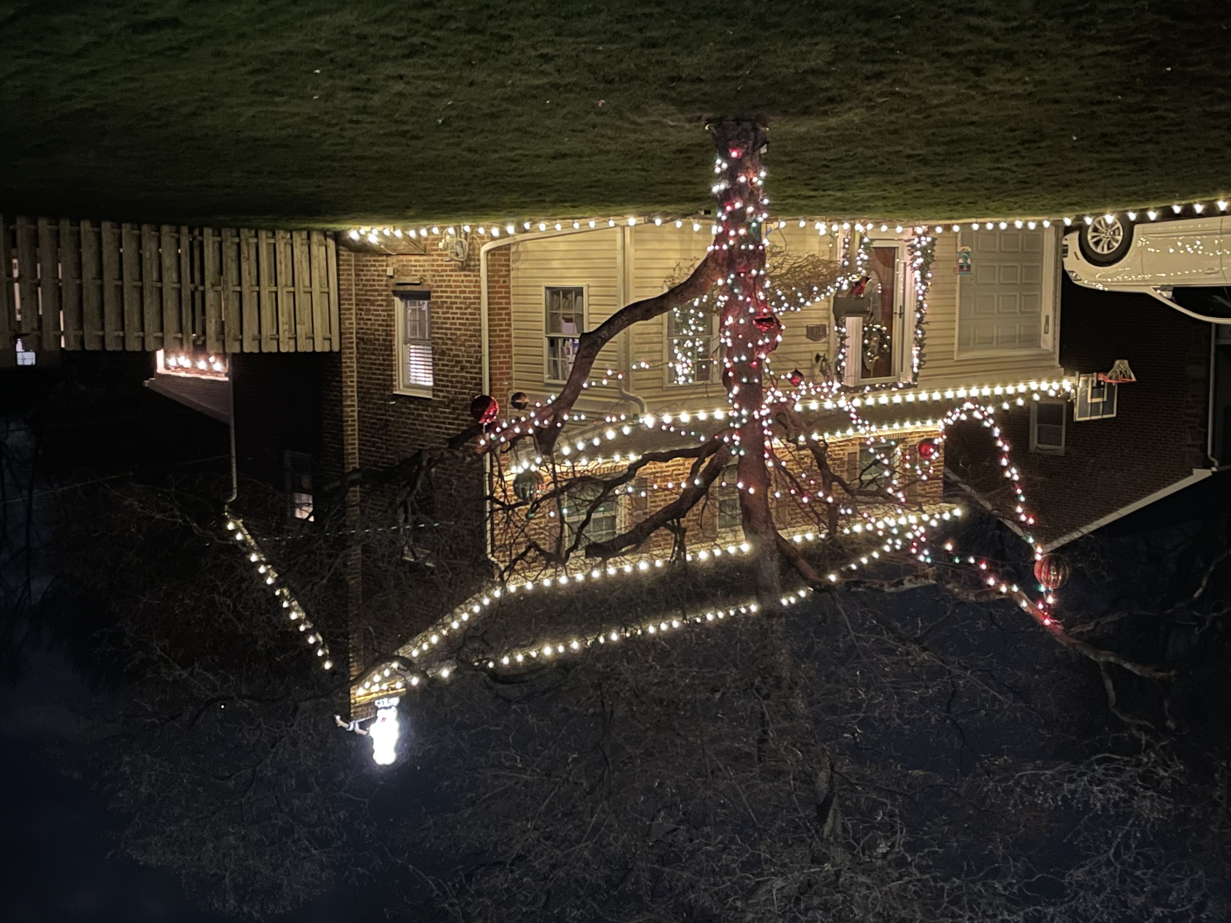 Flicker’s Flickering Lights, Christmas lights in Springfield, PA (photo 3)
