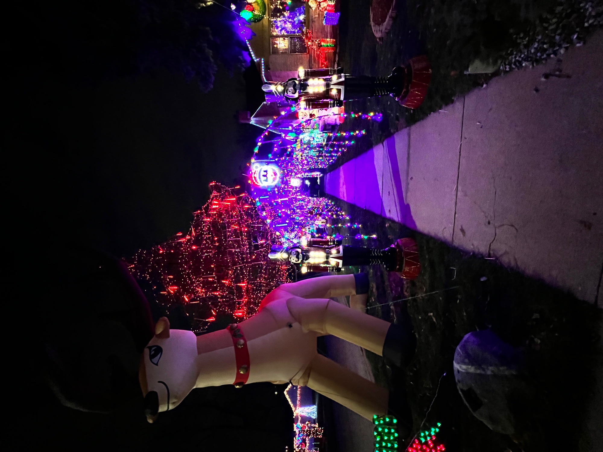 Ochoa Christmas wonderland, Christmas lights in Berkeley, IL (photo 5)