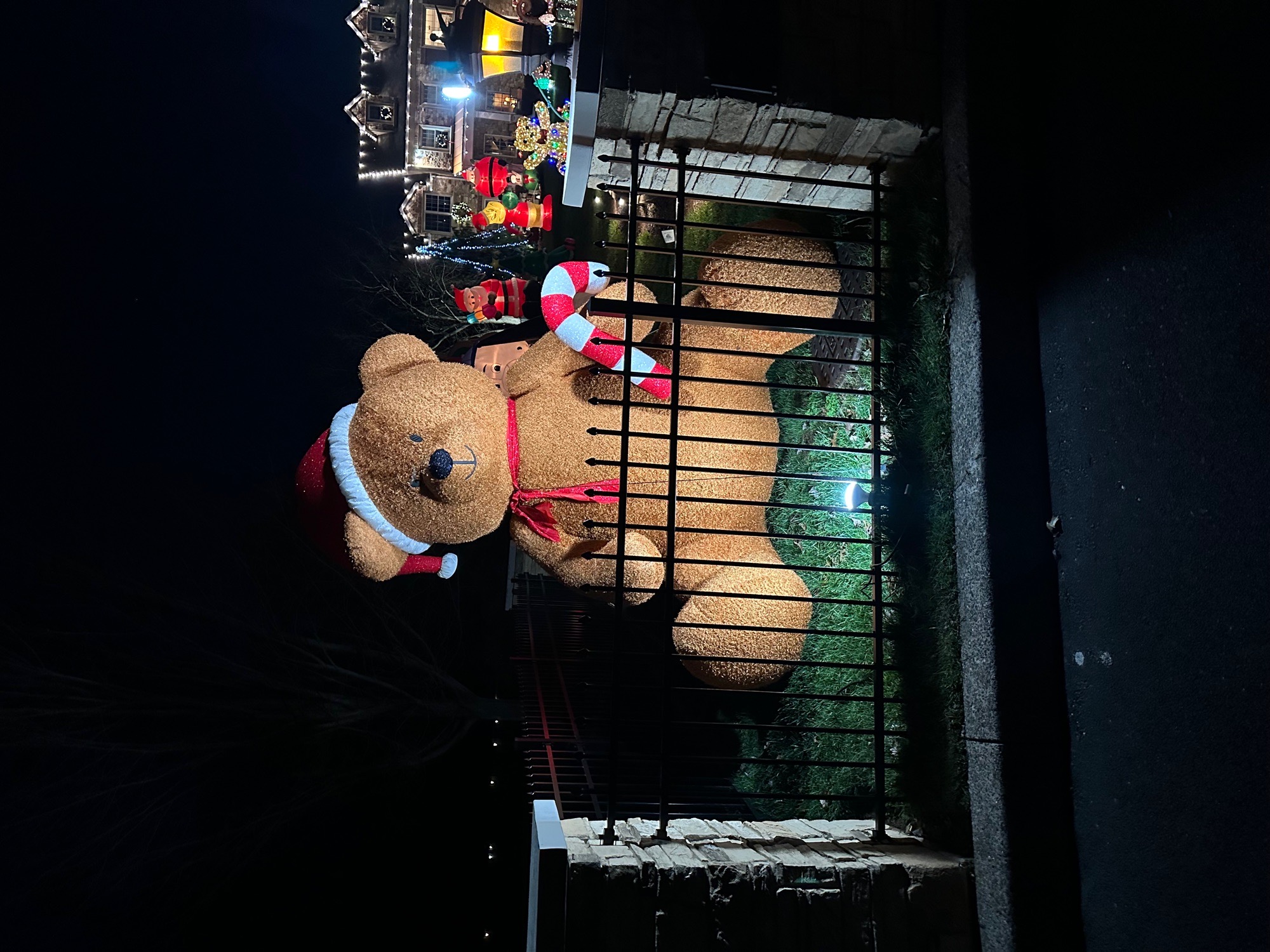 happy holidays 2023, Christmas lights in Ambler, PA (photo 4)