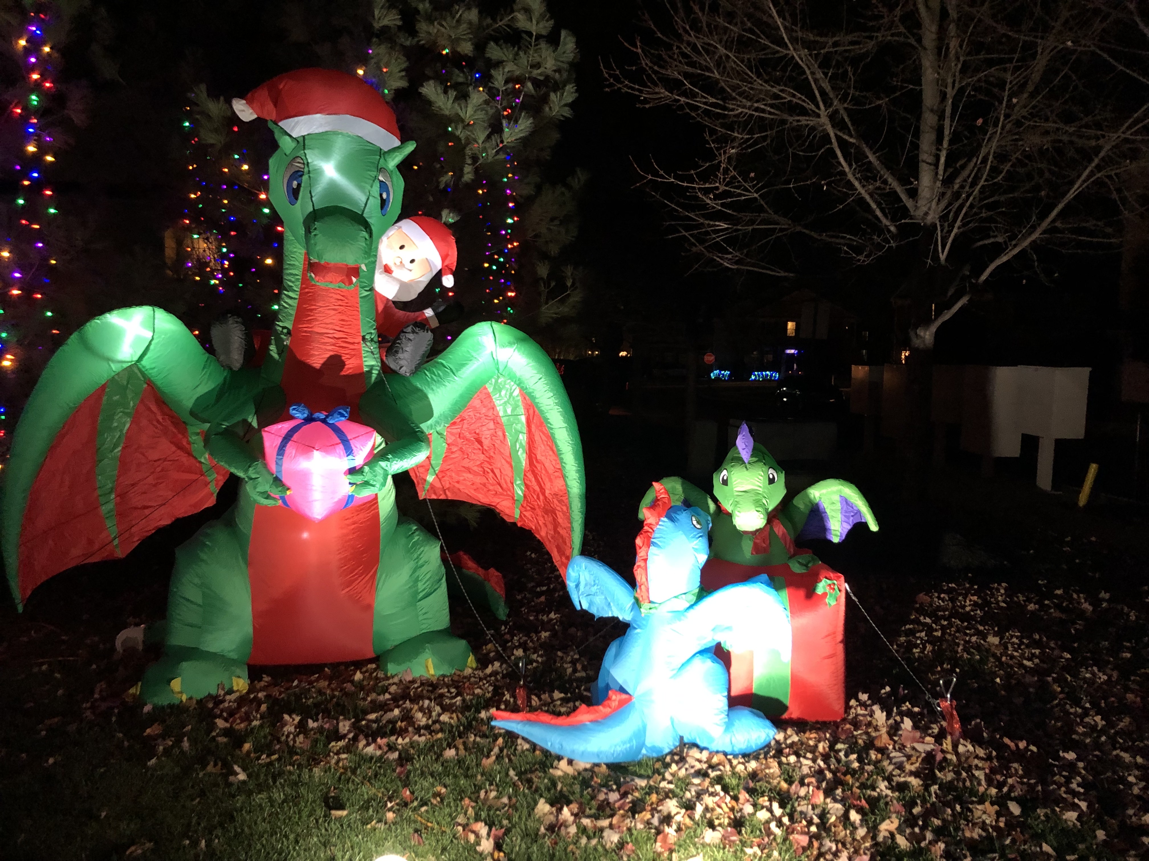 Lots of Cheer in a Little Space, Christmas lights in Royersford, PA (photo 3)