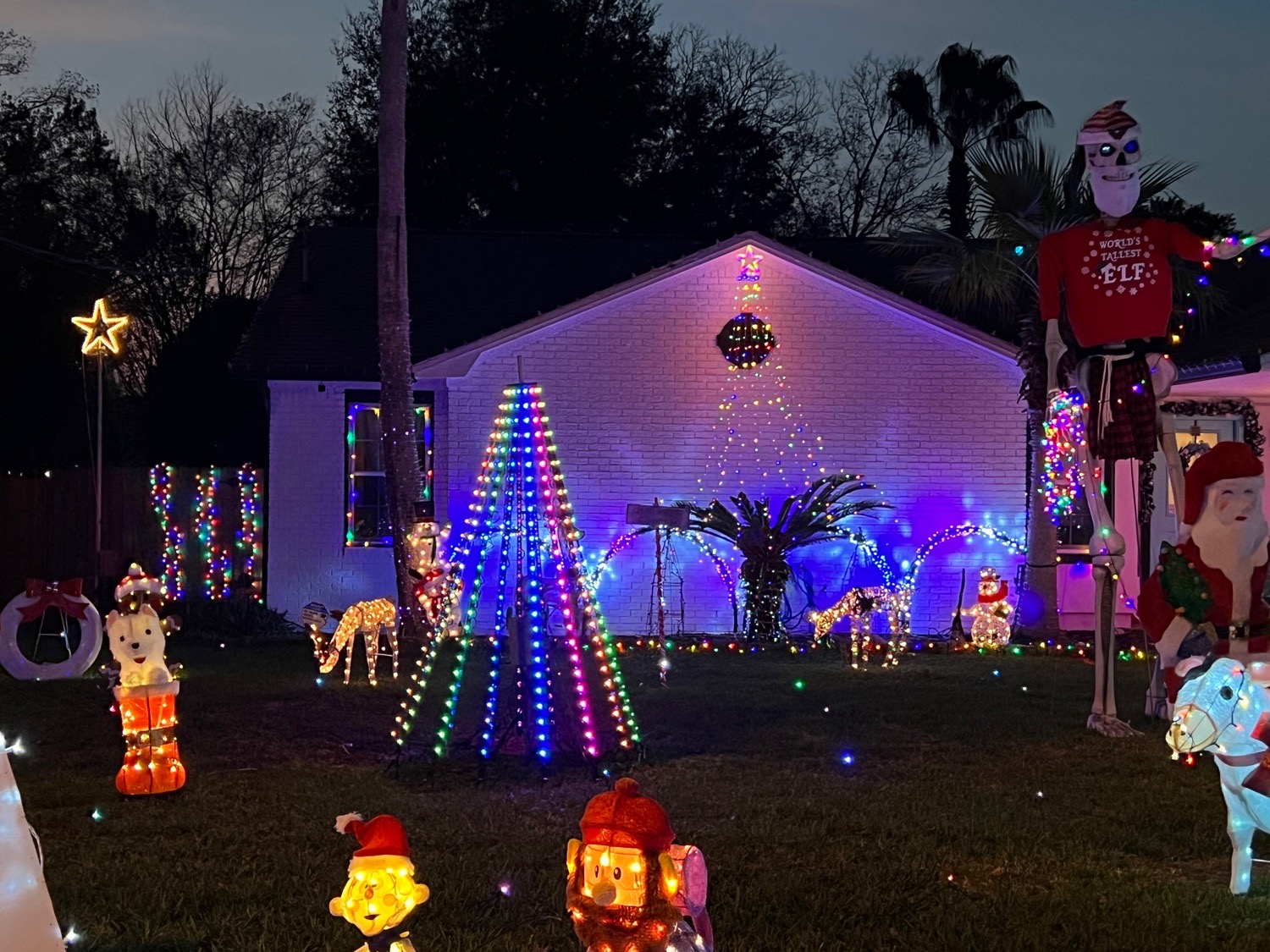 Lights on Cardinal, Christmas lights in Destin, FL (photo 4)