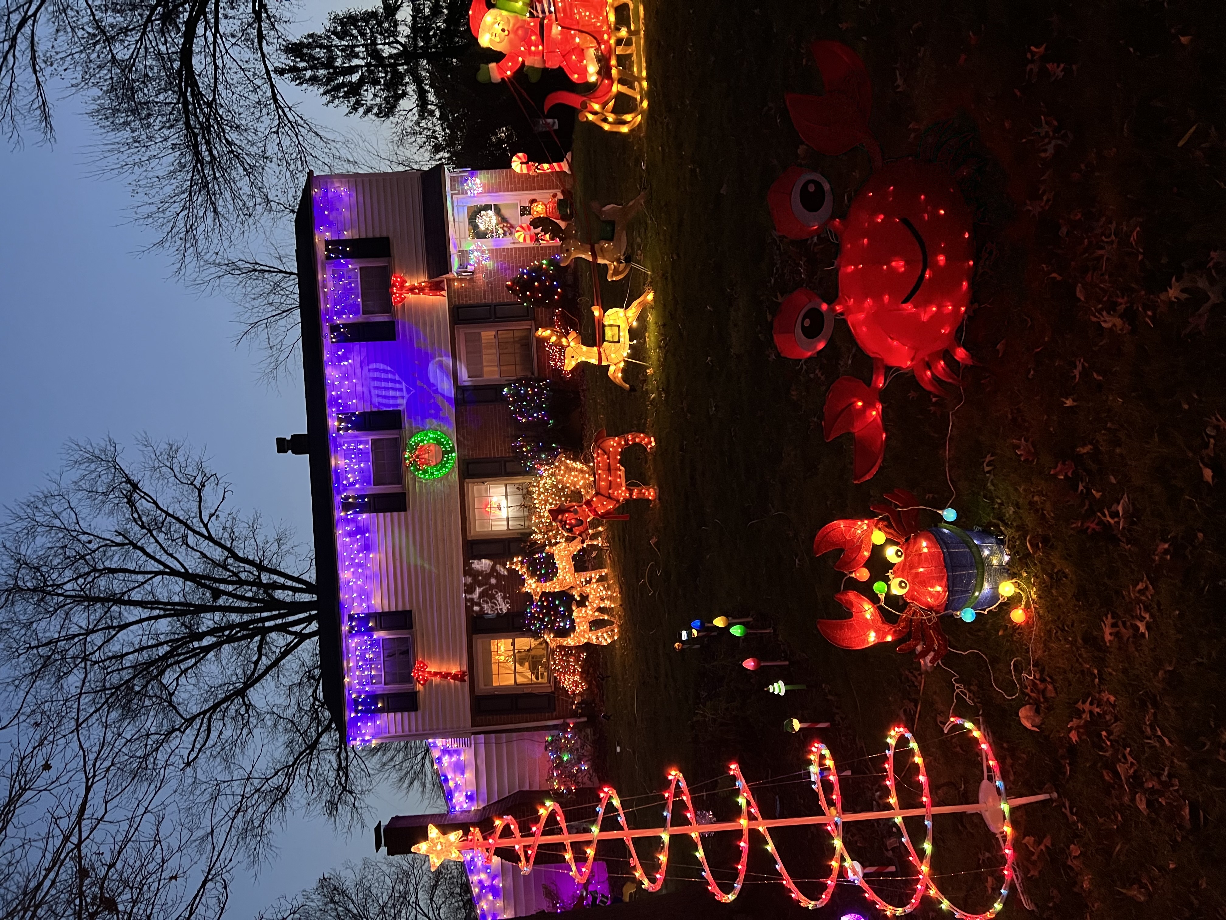 have a crabby Christmas!, Christmas lights in Plymouth Meeting, PA (photo 1)