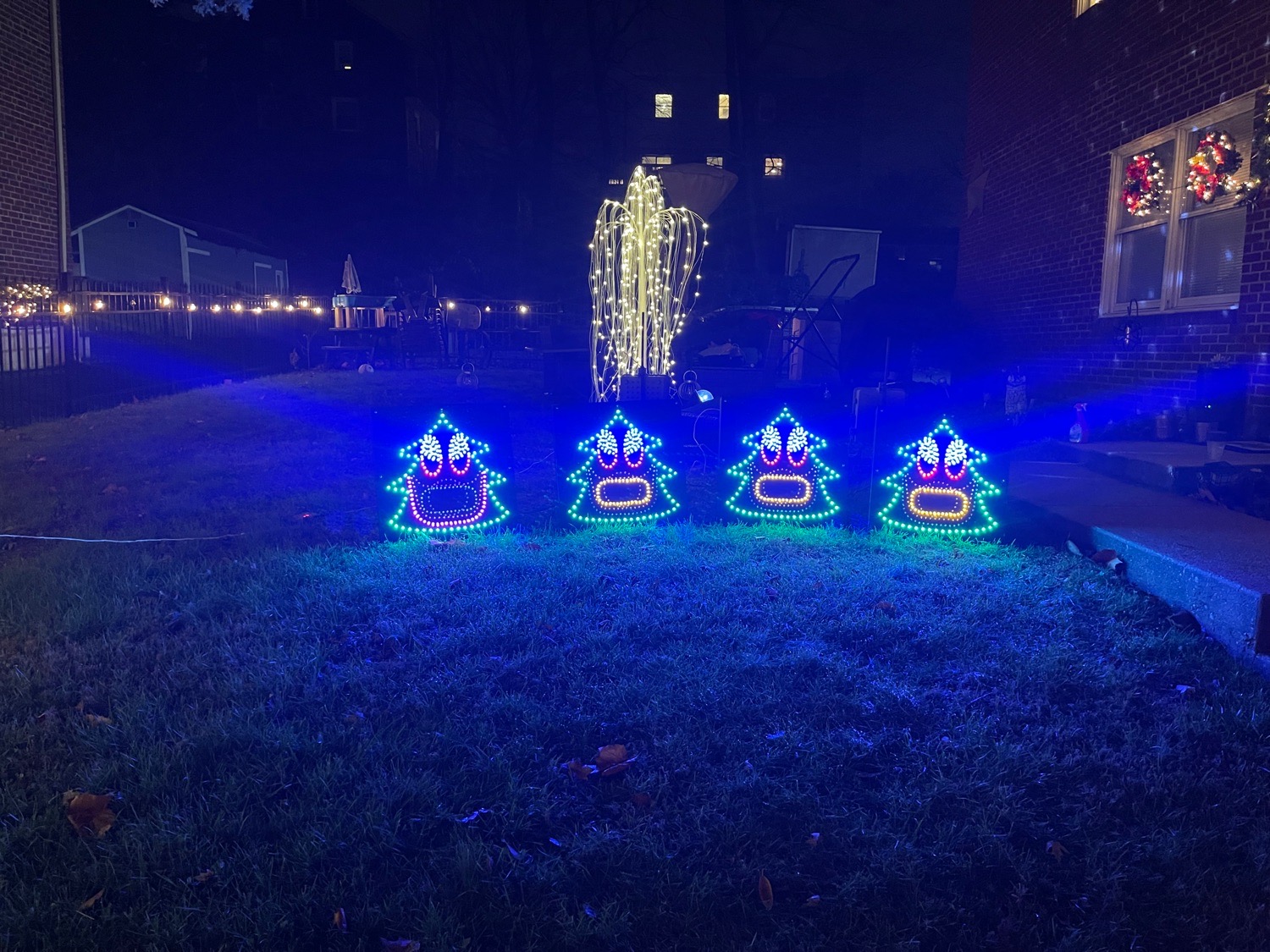 TREE WORLD, Christmas lights in Broomall, PA (photo 2)
