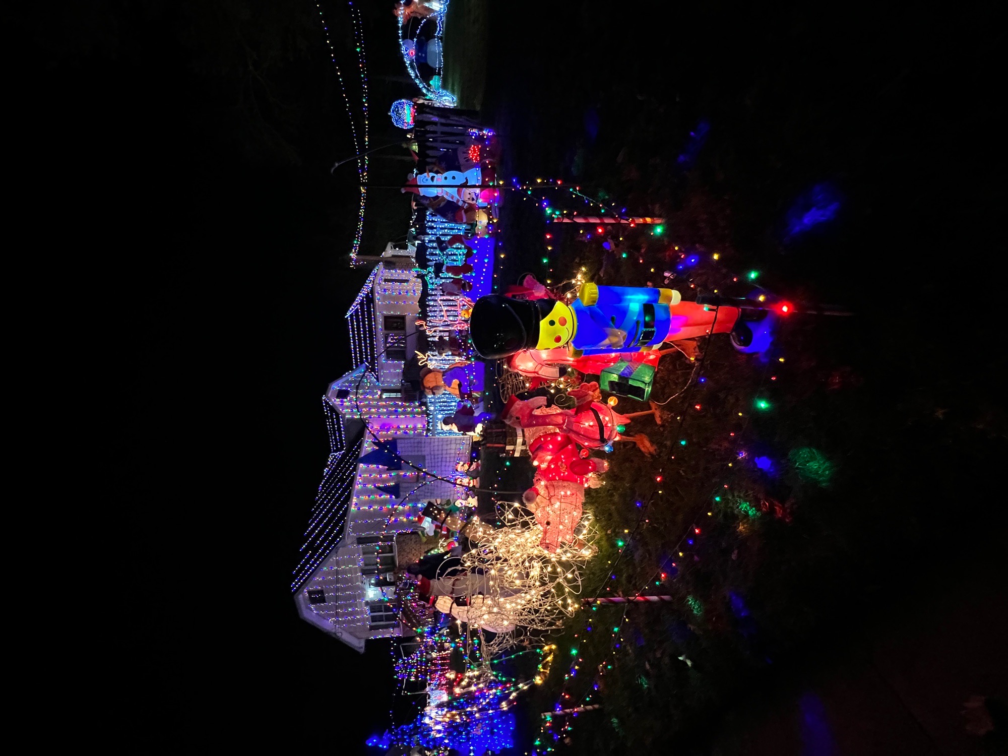 large display, Christmas lights in Hi-Nella, NJ (photo 3)