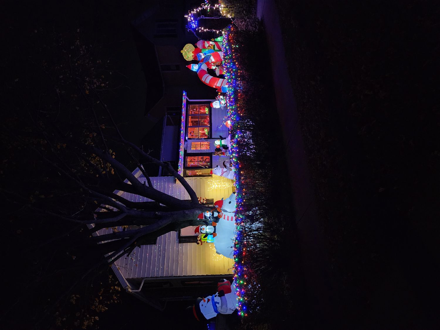 Hartman Christmas Manor, Christmas lights in Janesville, WI (photo 1)