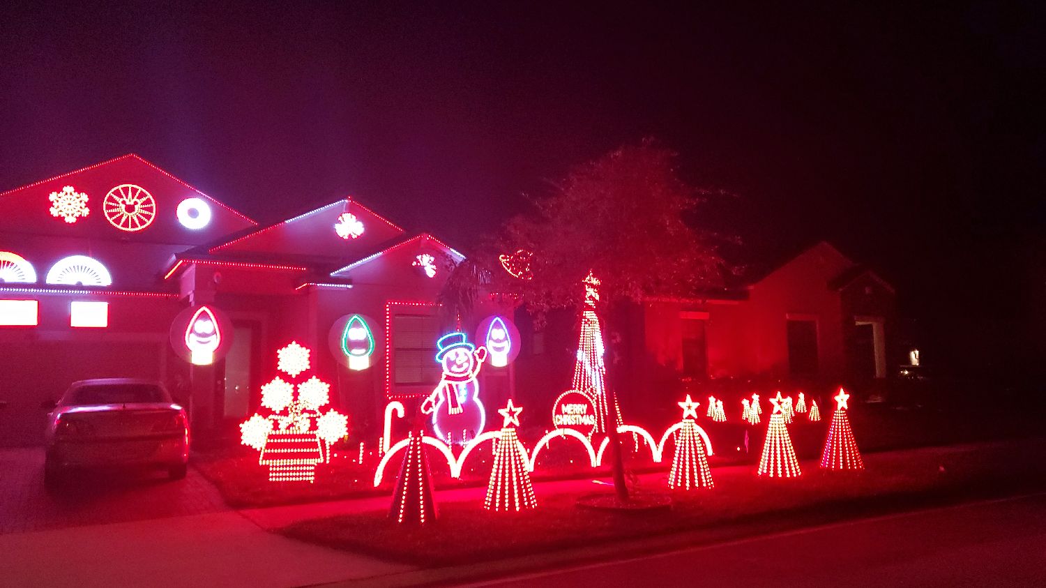 Torrao Lights at Epperson, Christmas lights in Wesley Chapel, FL (photo 3)