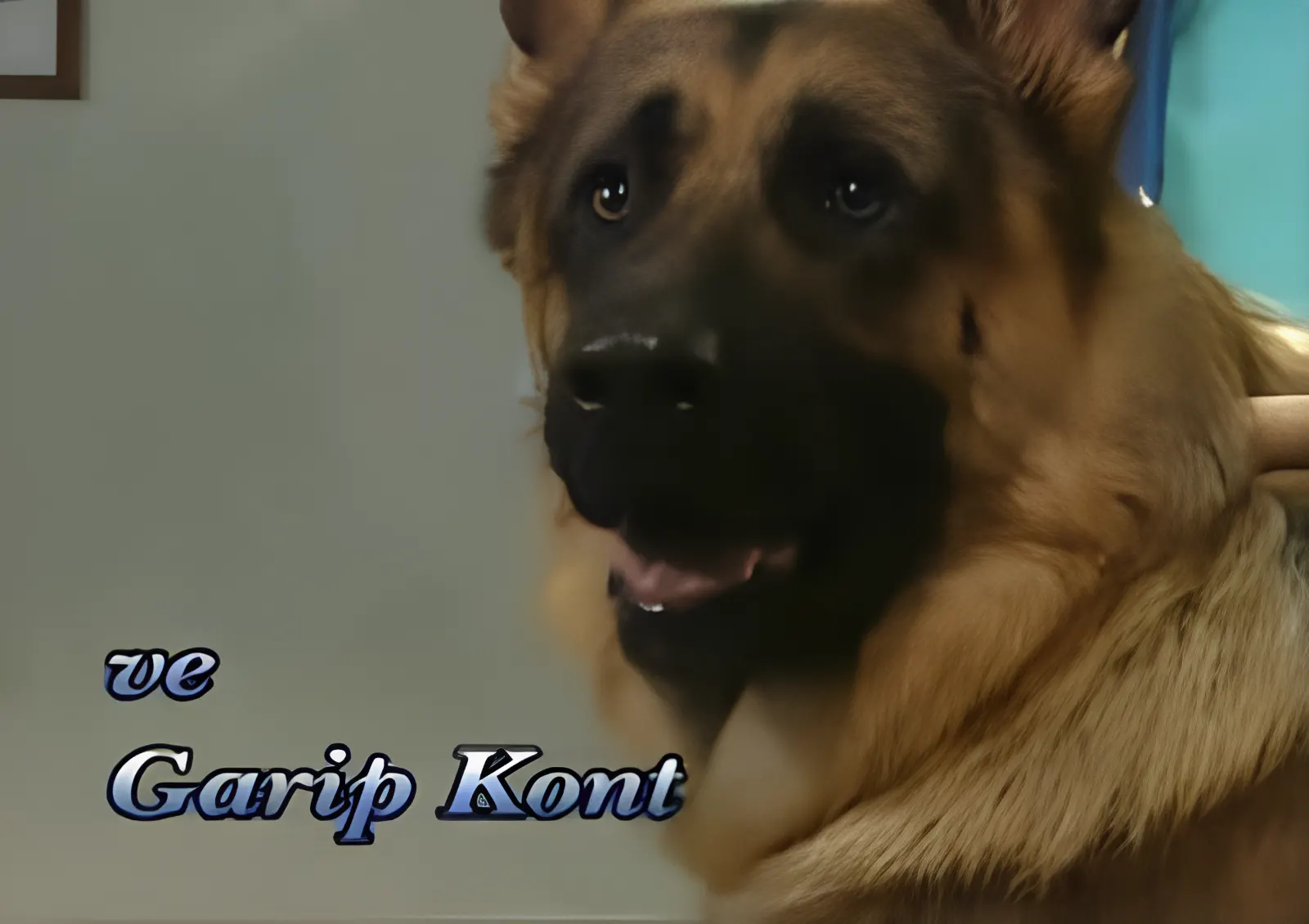 Garip Kont