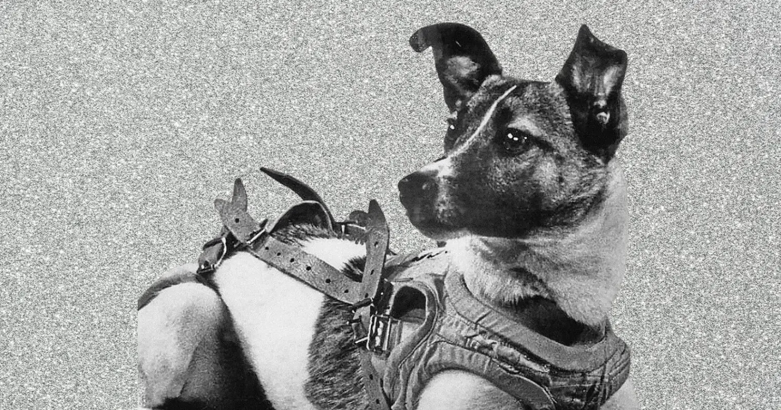 Laika