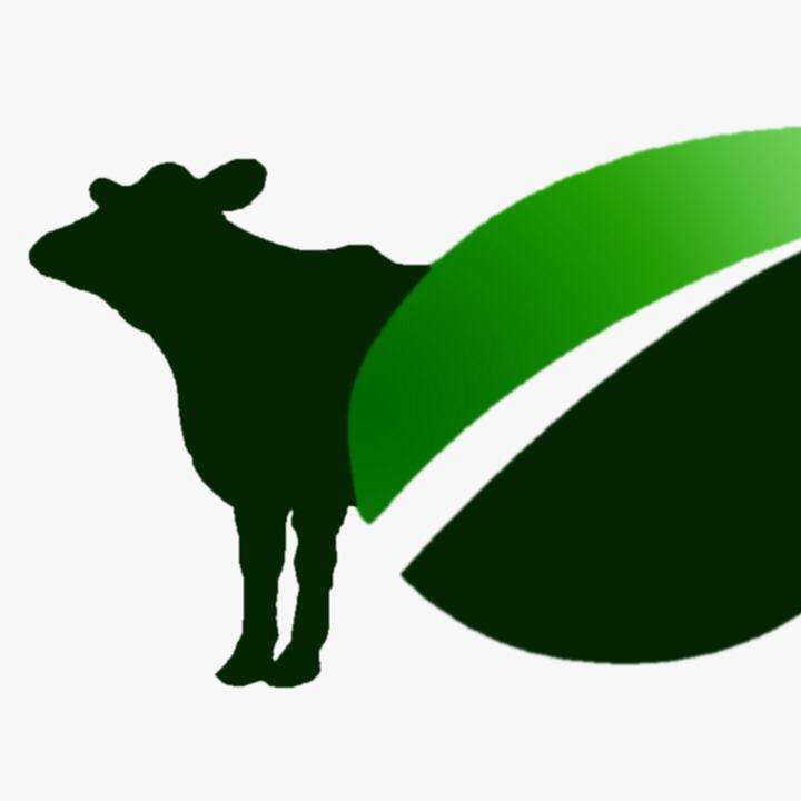 Ana Rita Scozzafave Alves Agronegócios