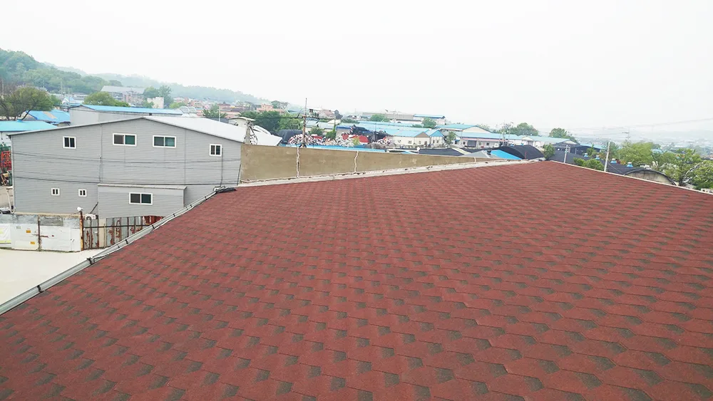 크로바가방 LAN케이블공사 / 신규설치 사진 1