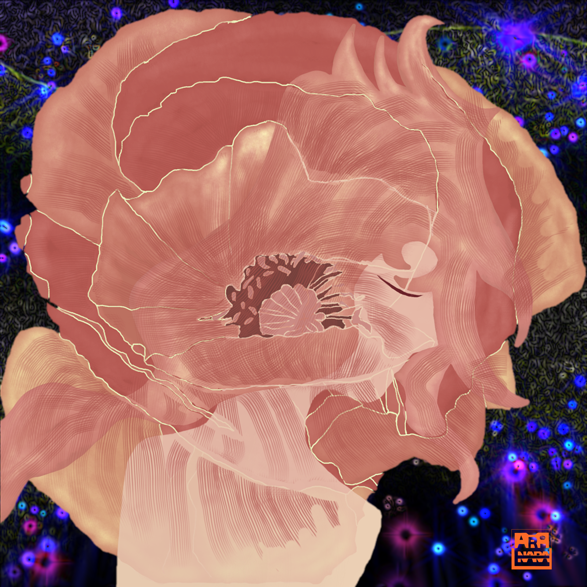Haru2Coquelicot #002 하루의 양귀비꽃 #002