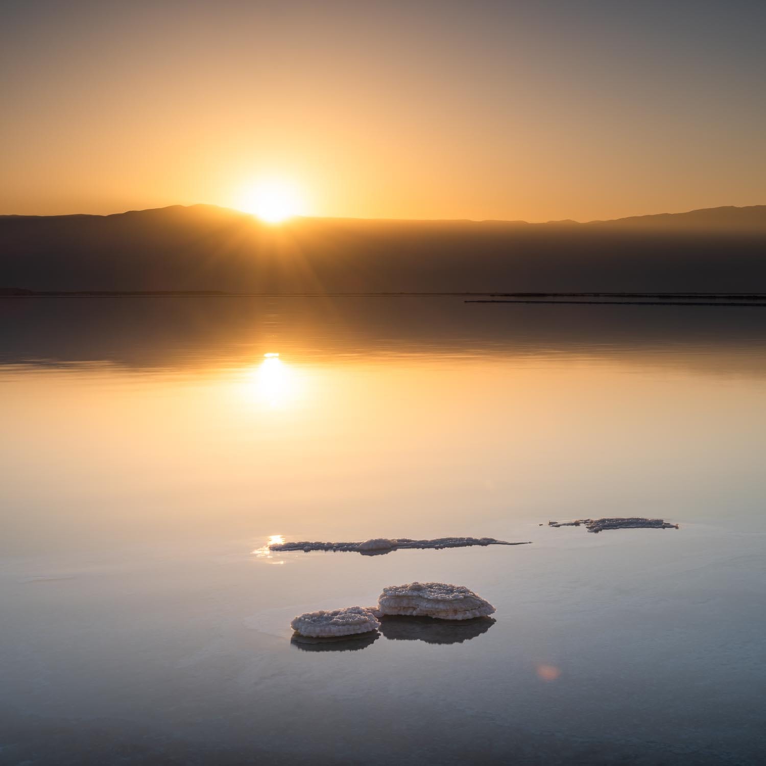 Sun Gazers