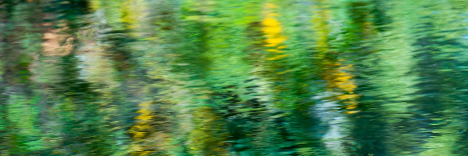 Reflections II