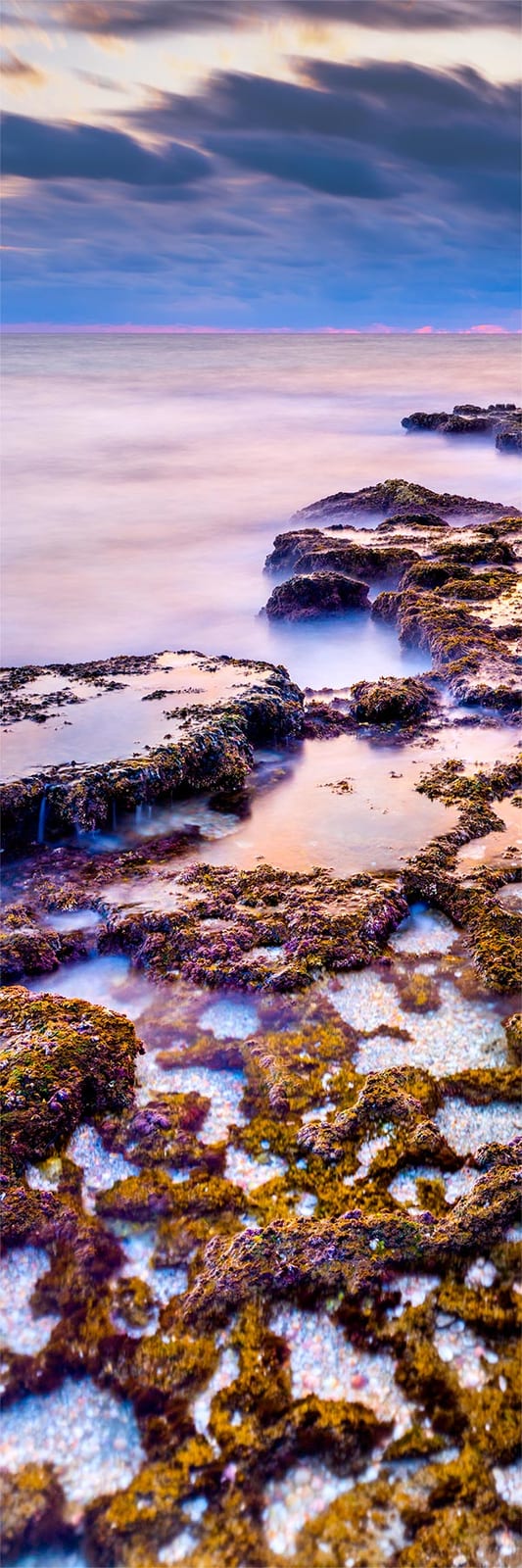 Ocean Jewels