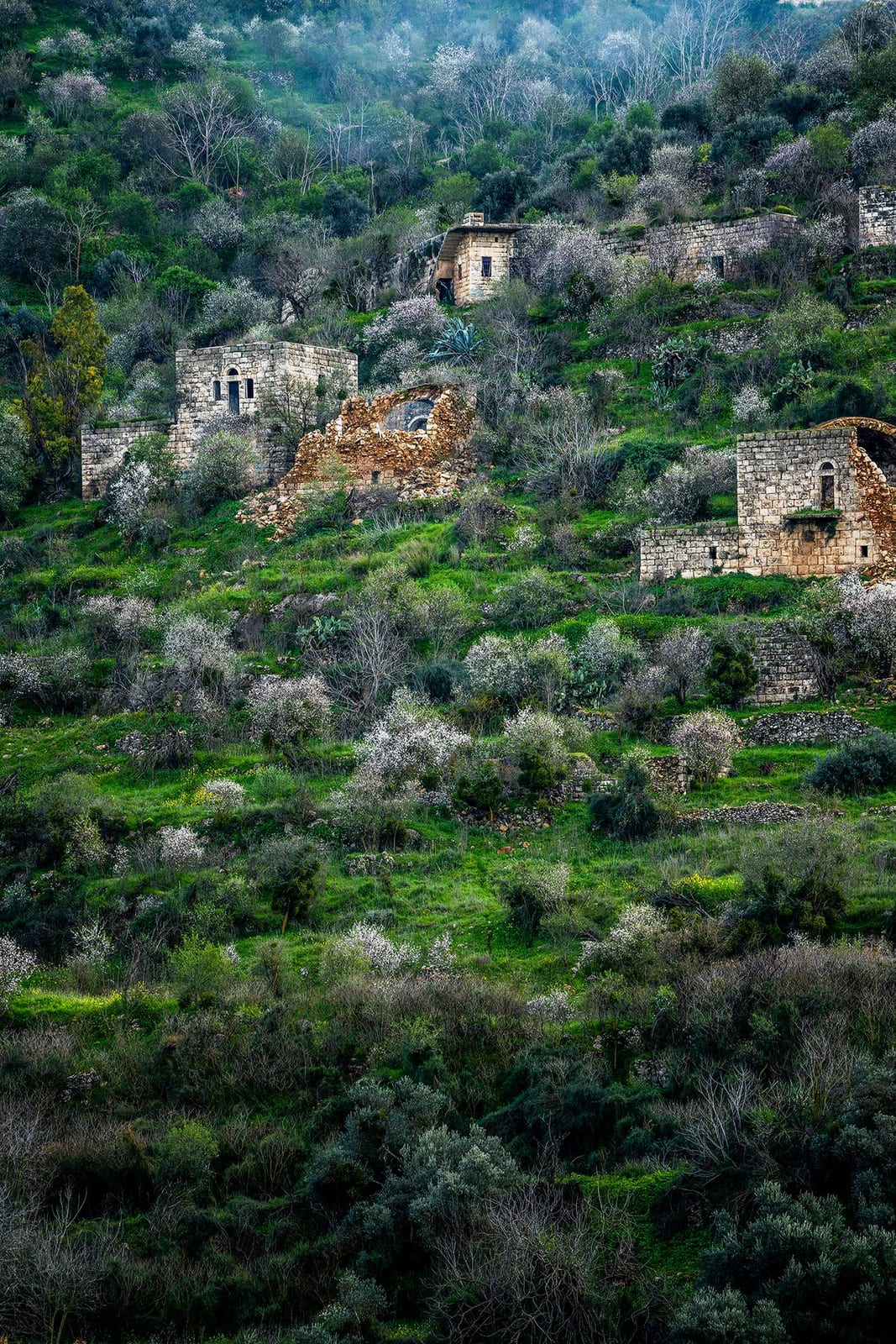 Renewal