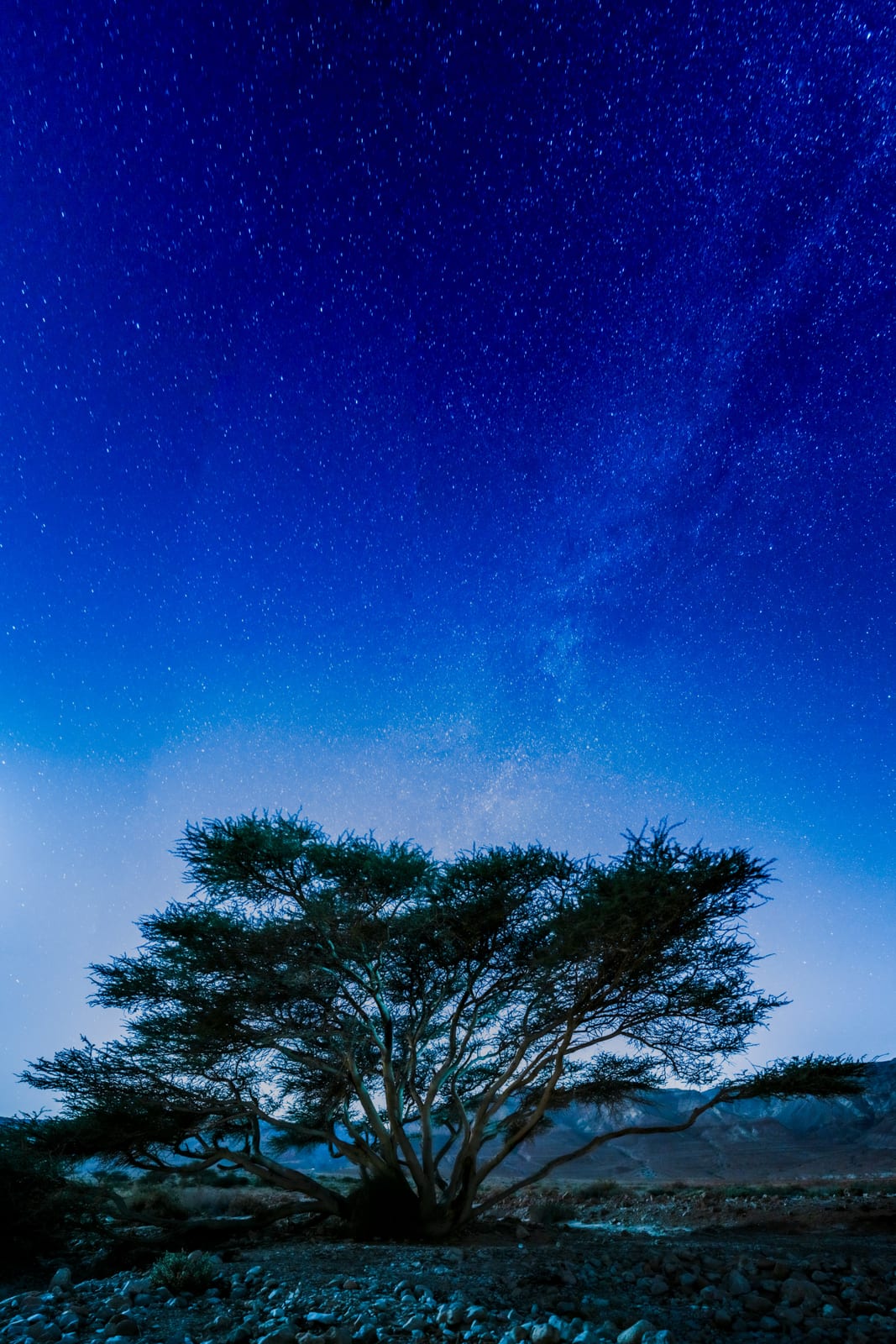 I Look to Your Heavens