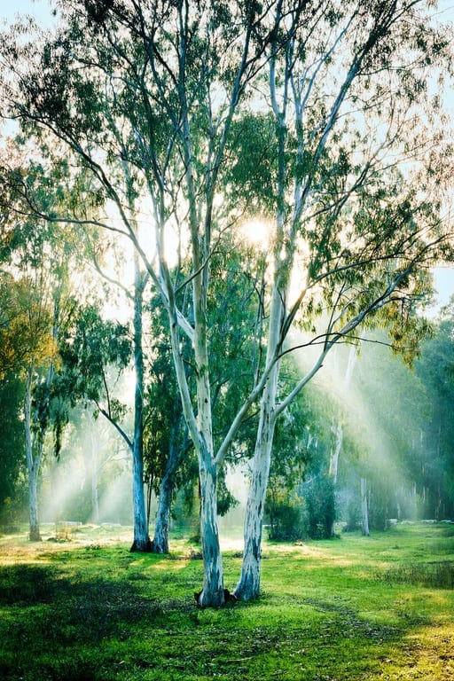 Emanations