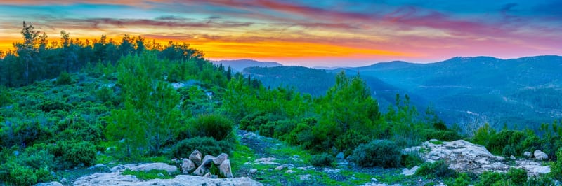 Voice of the Mountains
