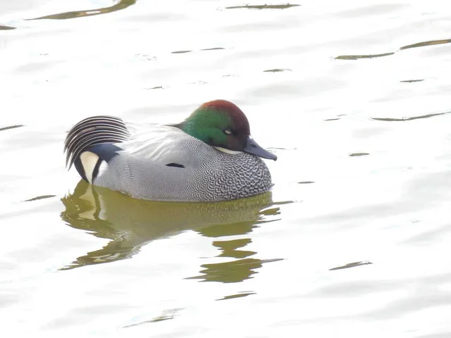 Species Image