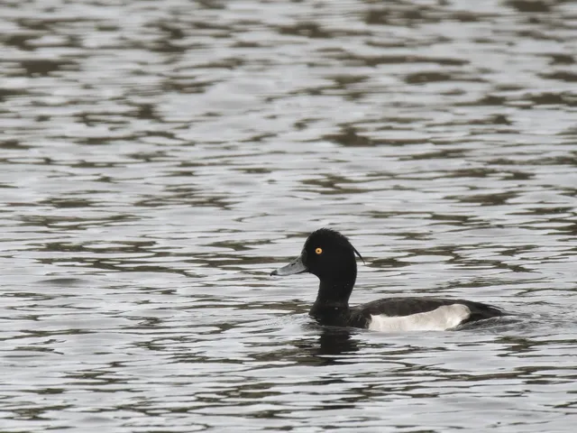 Species Image