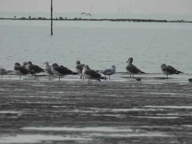 Species Image