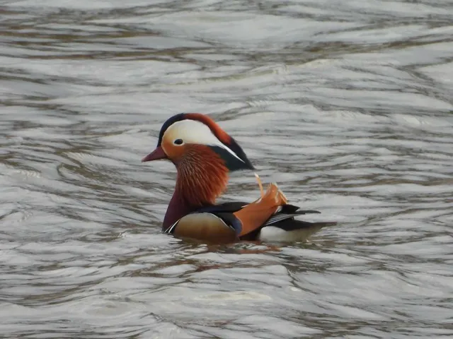 Species Image