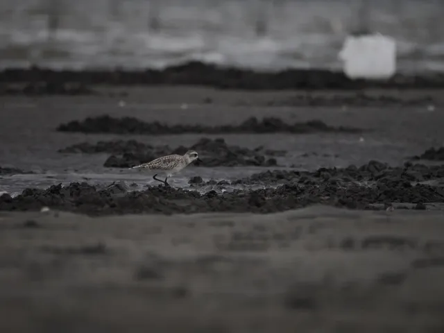 Species Image