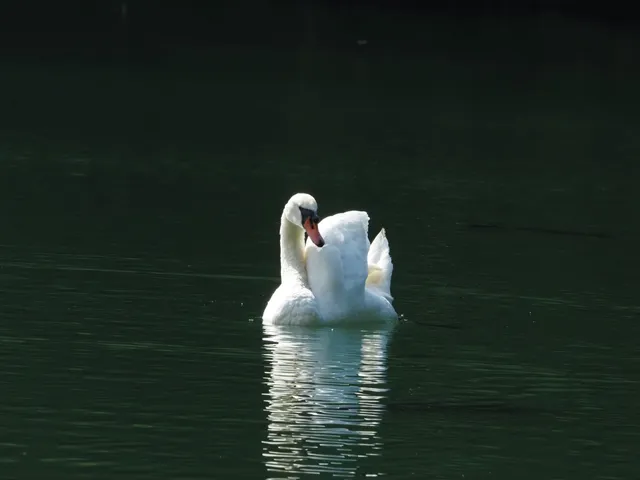 Species Image