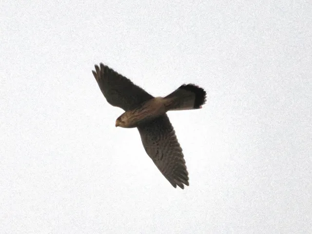 Species Image