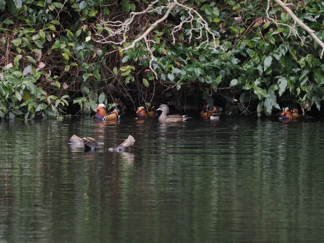 Species Image