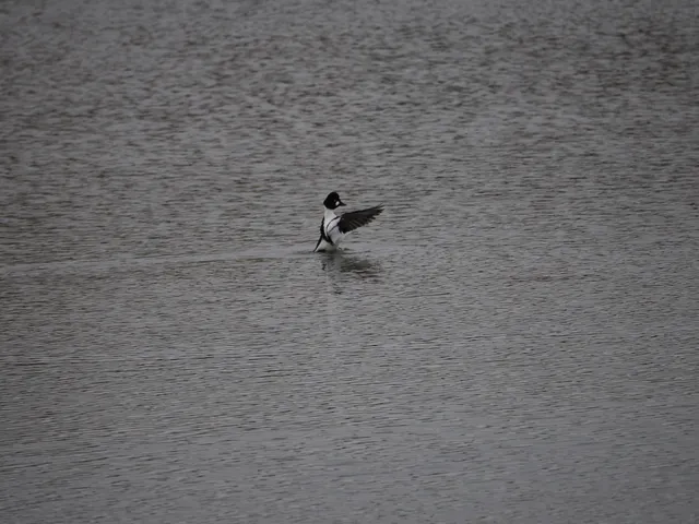 Species Image