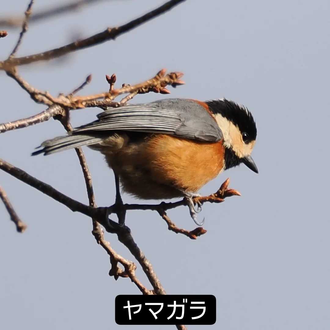 Post Image