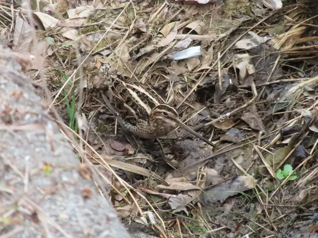 Species Image