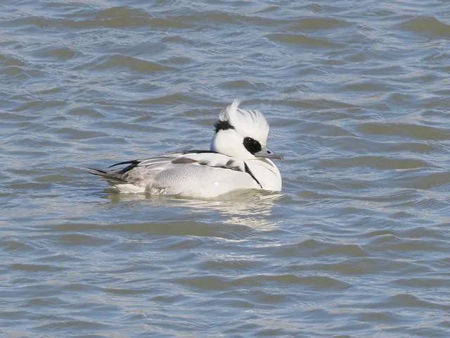 Species Image