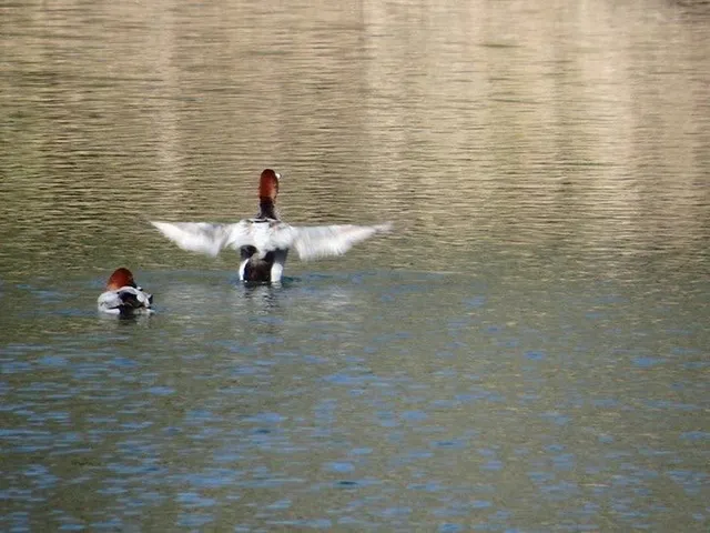 Species Image