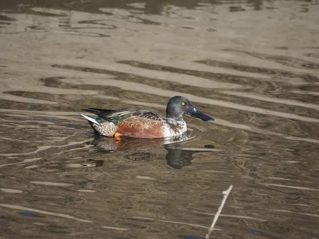 Species Image