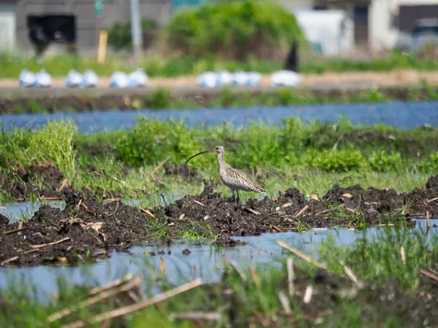 Species Image