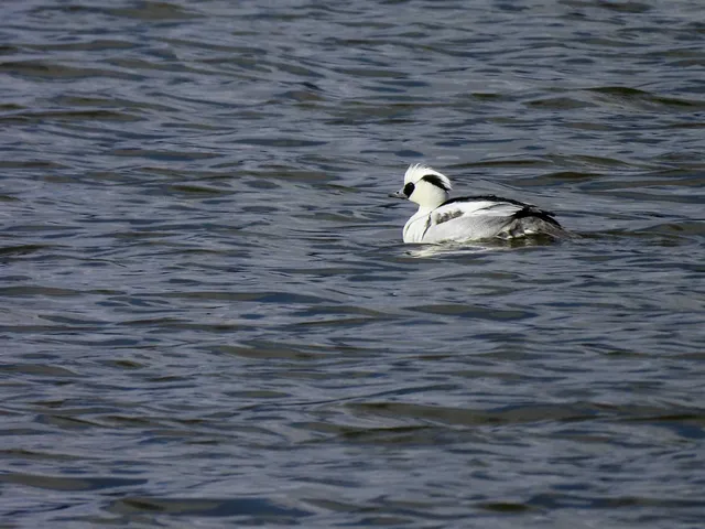 Species Image