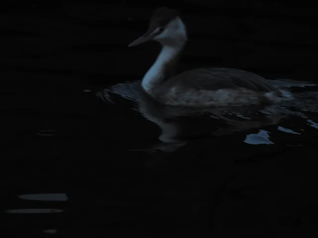 Species Image