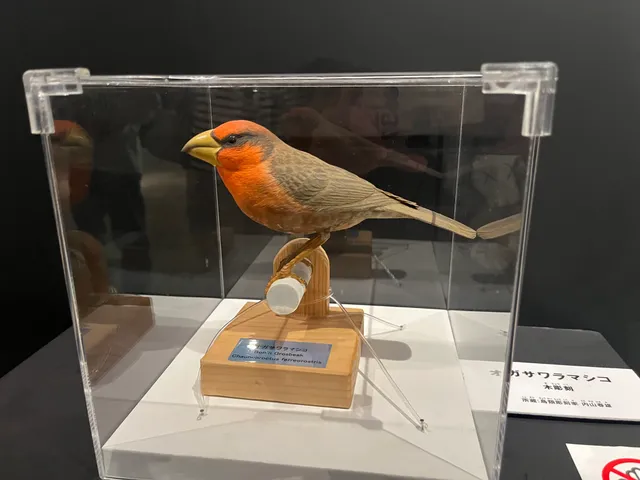 Species Image