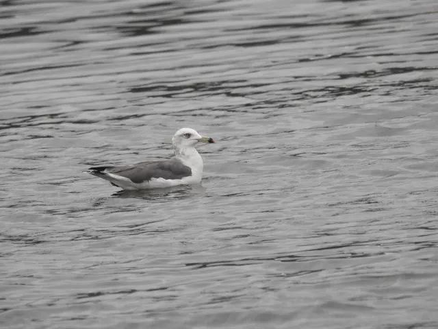 Species Image