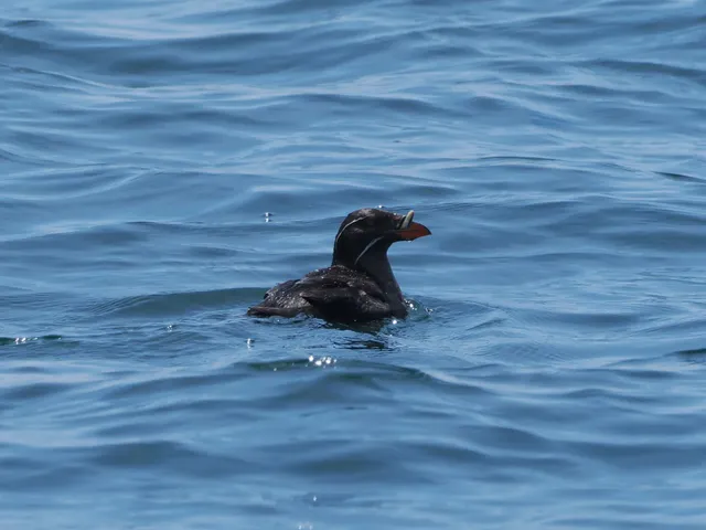Species Image