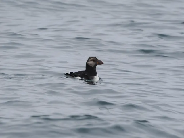 Species Image