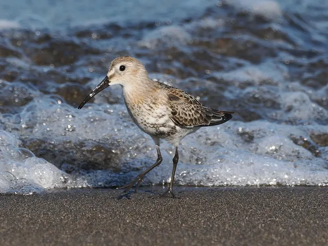 Species Image