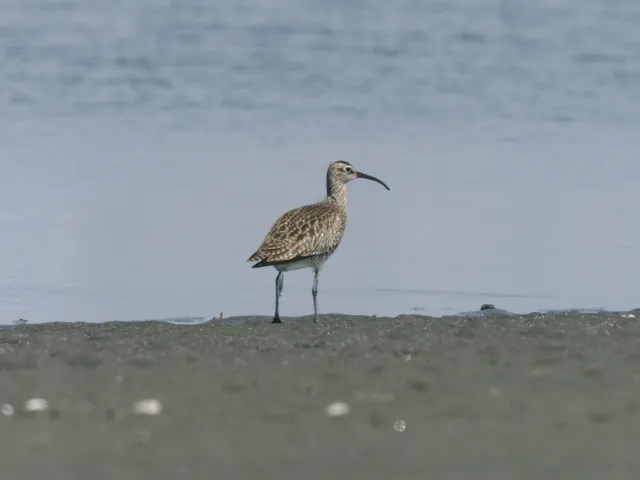 Species Image