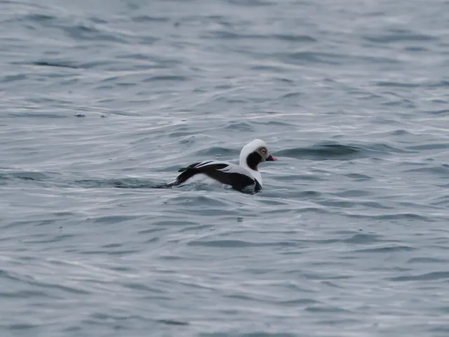 Species Image