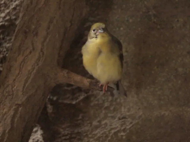 Species Image