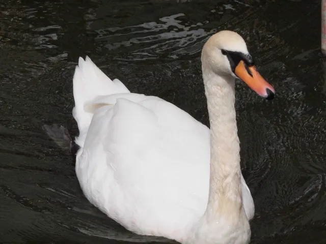 Species Image